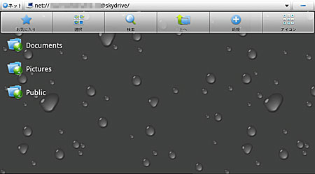 skydrive08.jpg
